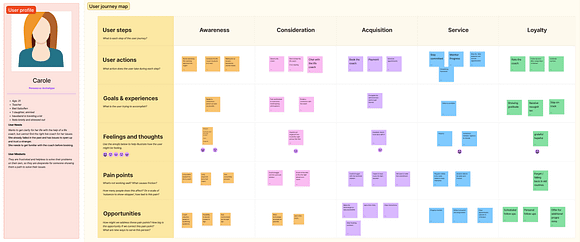 User journey map for coachee